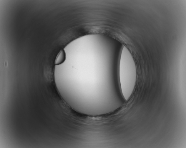 X0000090500469200707130952