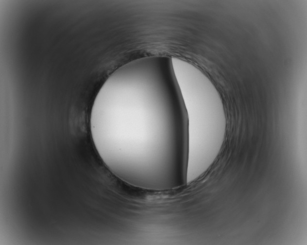 X0000090500470200707130952