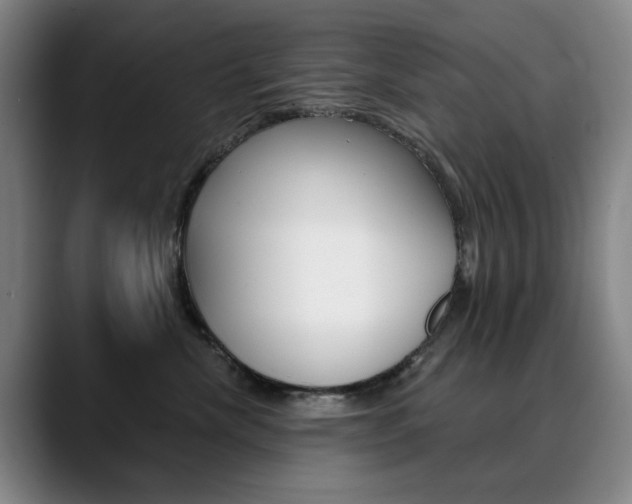 X0000090500476200707130952