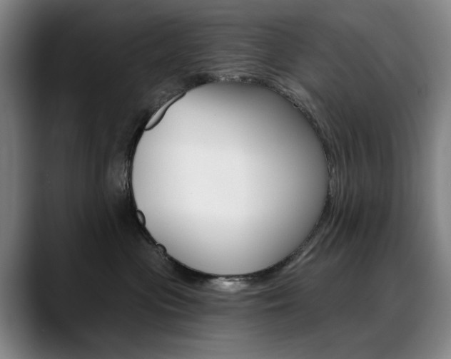 X0000090500477200707130952