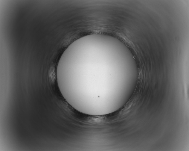 X0000090500479200707130952