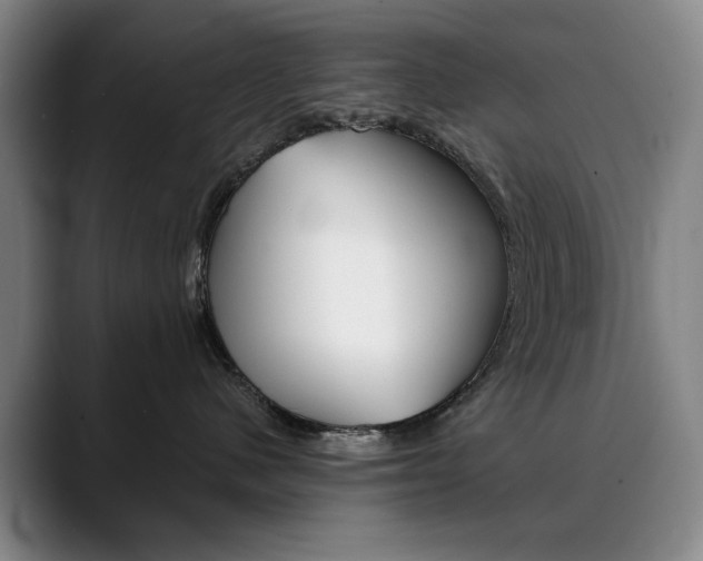 X0000090500480200707130952