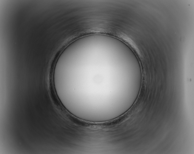 X0000090500482200707130952
