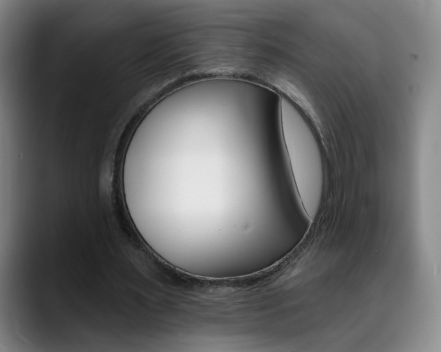 X0000090500483200707130952