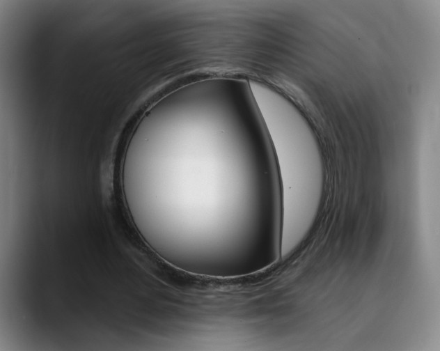 X0000090500484200707130952