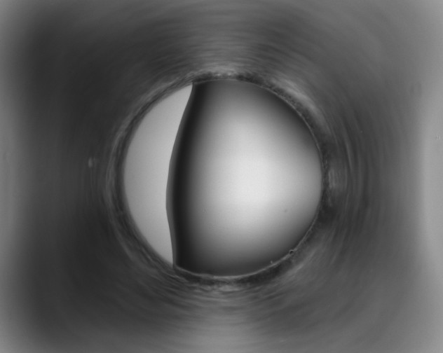 X0000090500492200707130952