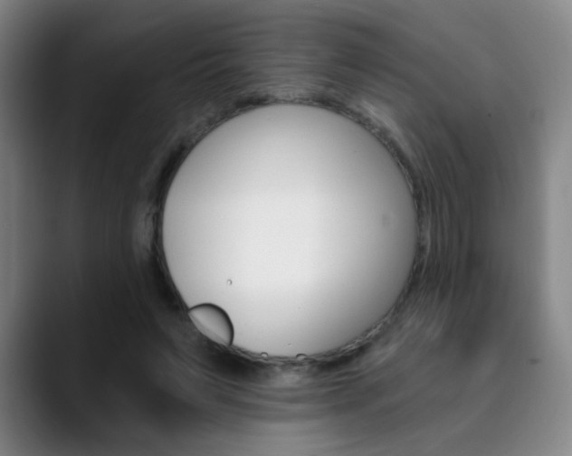 X0000090500495200707130952