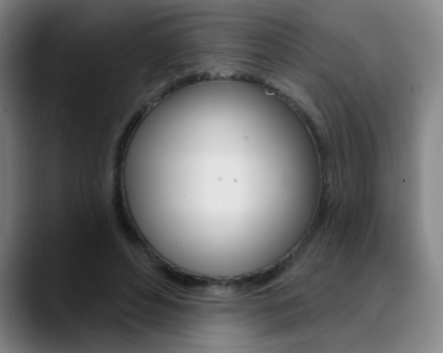 X0000090500496200707130952