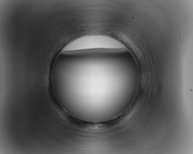 X0000090500497200707130952
