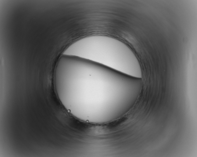 X0000090500499200707130952