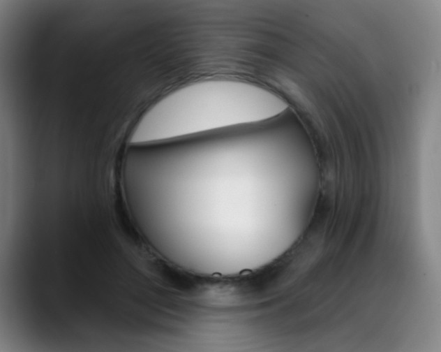 X0000090500500200707130952