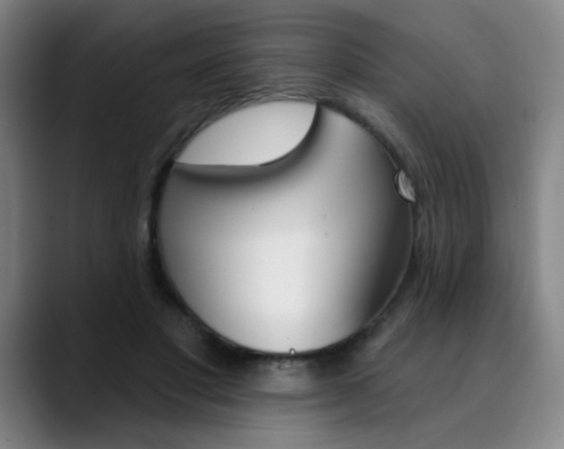 X0000090500501200707130952