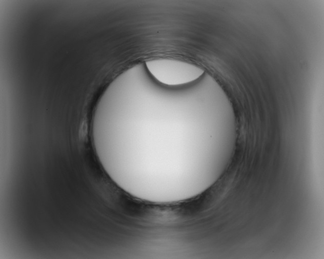 X0000090500502200707130952