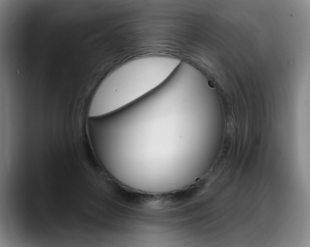 X0000090500504200707130952