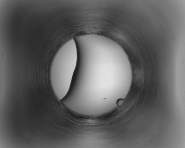 X0000090500506200707130952