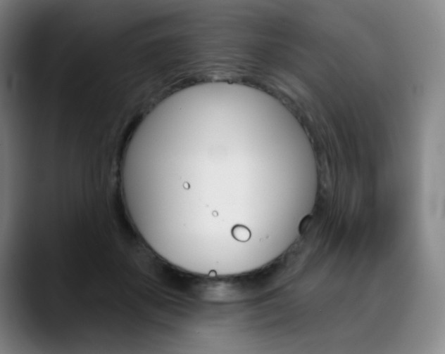 X0000090500507200707130952