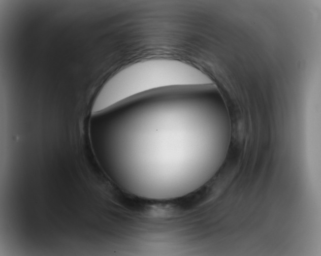 X0000090500508200707130951