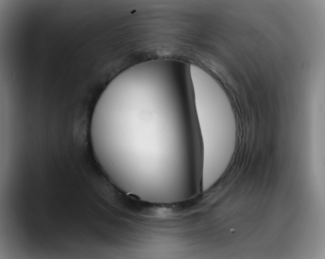 X0000090500509200707130951
