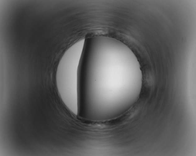 X0000090500512200707130951