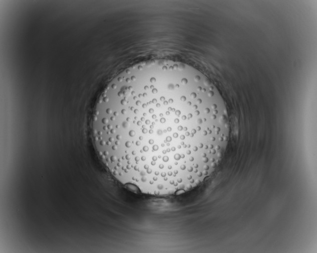 X0000090500519200707130951
