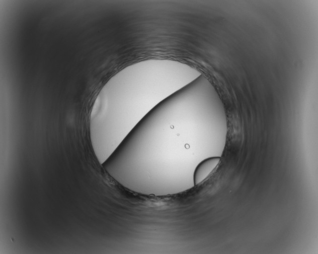 X0000090500523200707130951