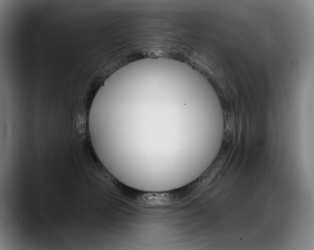 X0000090500526200707130951