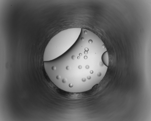 X0000090500527200707130951