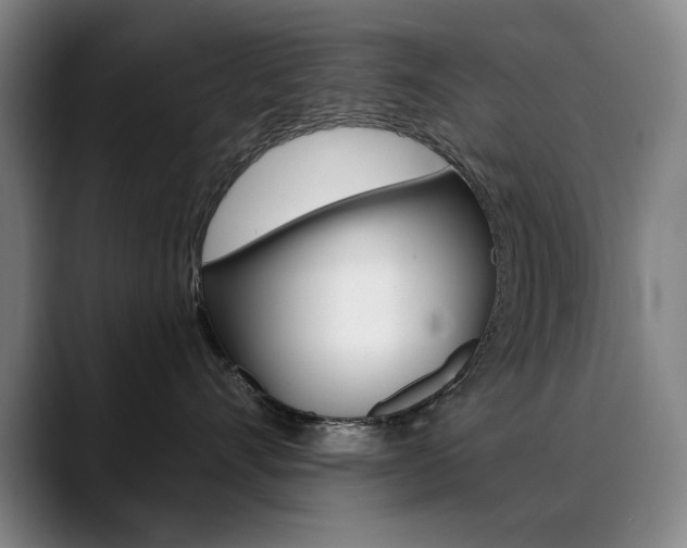 X0000090500528200707130951