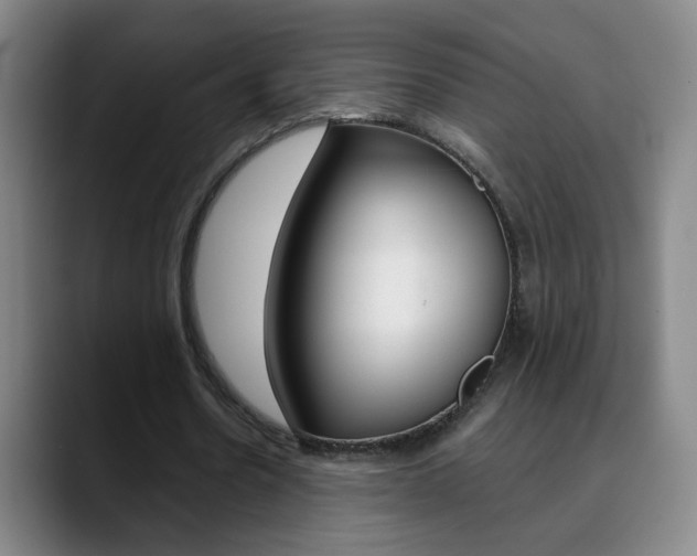X0000090500530200707130951
