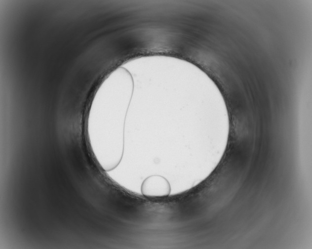 X0000090500534200707130951