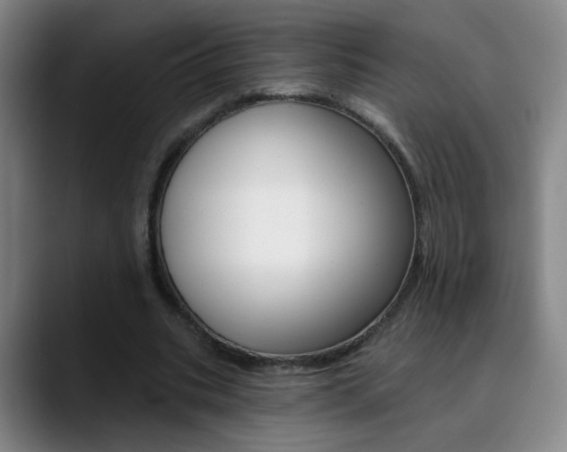 X0000090500535200707130951