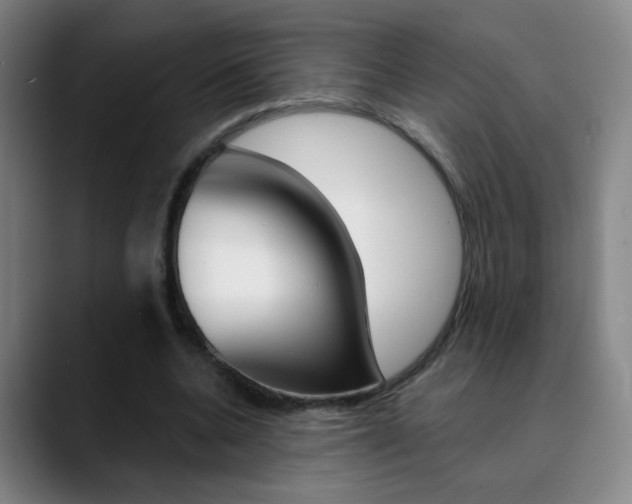 X0000090500536200707130951