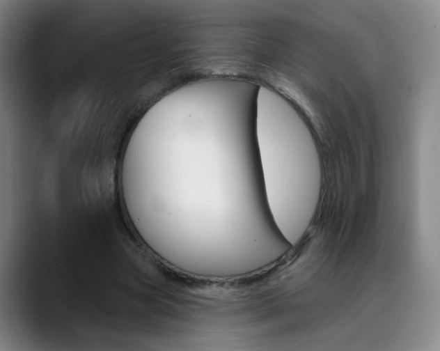 X0000090500537200707130951