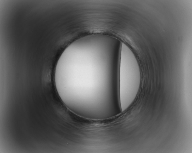 X0000090500543200707130951