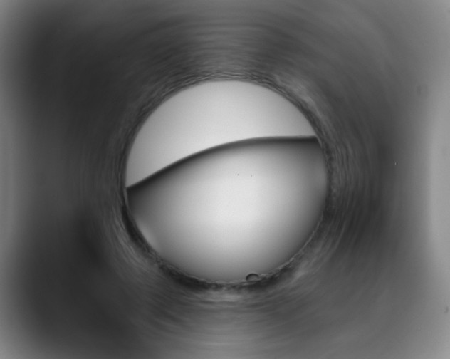 X0000090500545200707130951