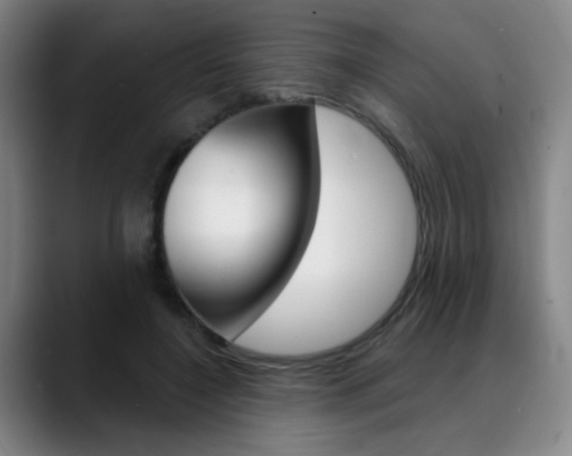 X0000090500548200707130951