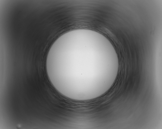 X0000090500552200707130951