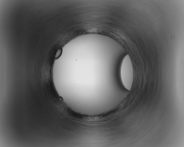 X0000090500554200707130951