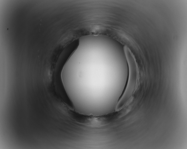 X0000090500558200707130951