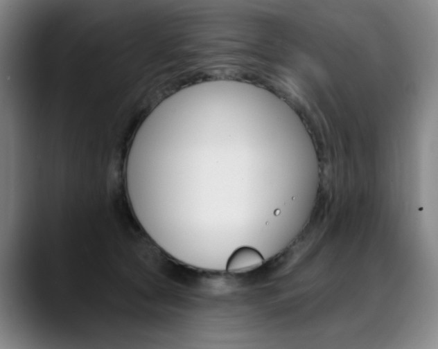 X0000090500561200707130951