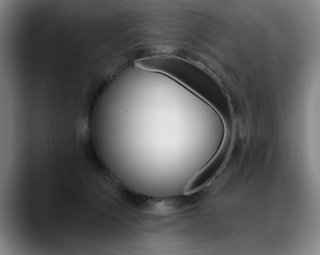 X0000090500564200707130951