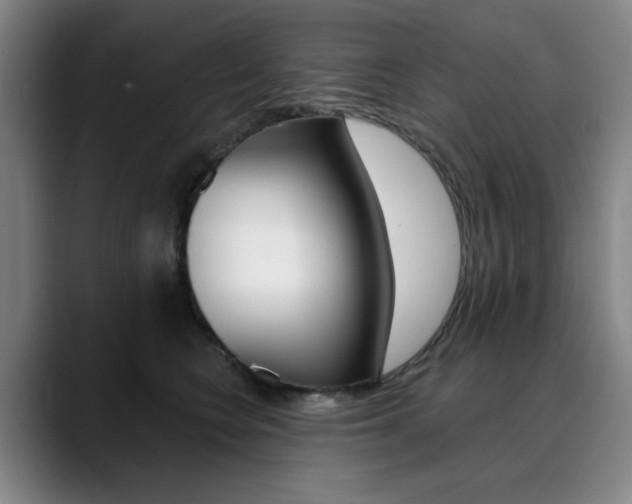 X0000090500566200707130951