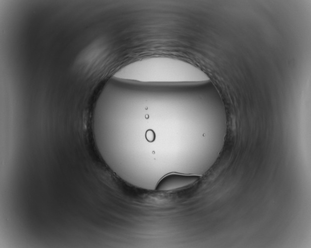 X0000090500567200707130951