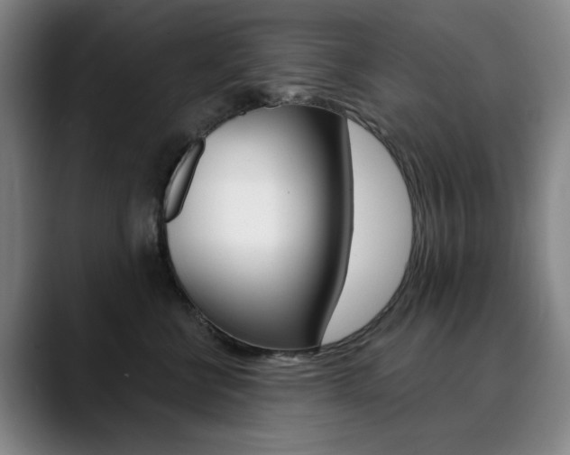 X0000090500570200707130951
