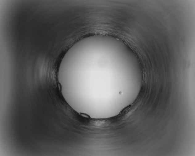 X0000090500575200707130951