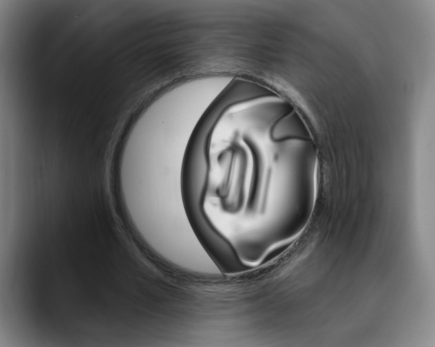 X0000090500581200707130951