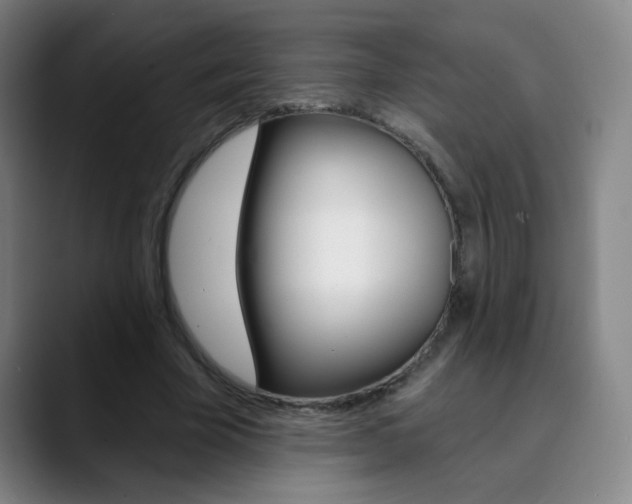 X0000090500585200707130951