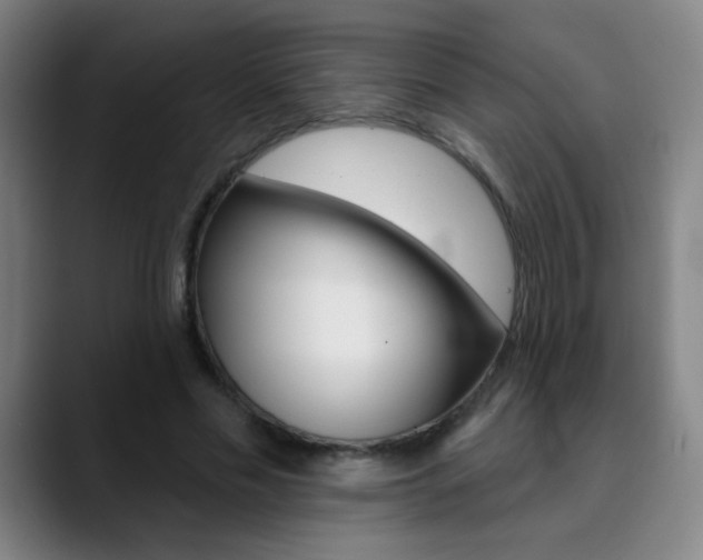 X0000090500589200707130951