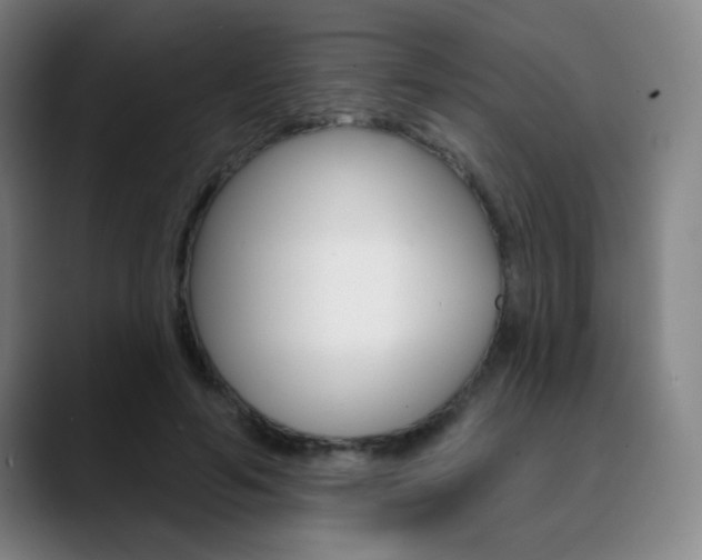 X0000090500594200707130950