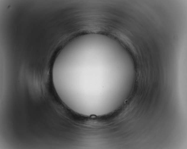 X0000090500596200707130950
